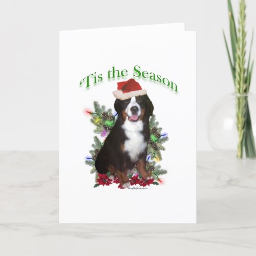 Bernese Mountain Dog Tis Holiday Card