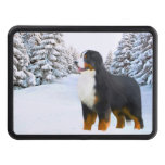 Bernese Mountain Dog Trailer Hitch Cover
