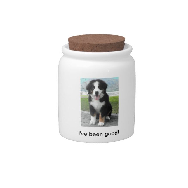 Bernese Mountain Dog Treat Jar (Front)