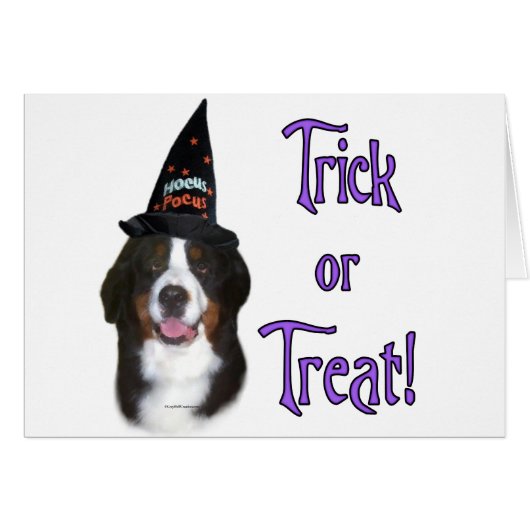 Bernese Mountain Dog Trick Cards (Front Horizontal)