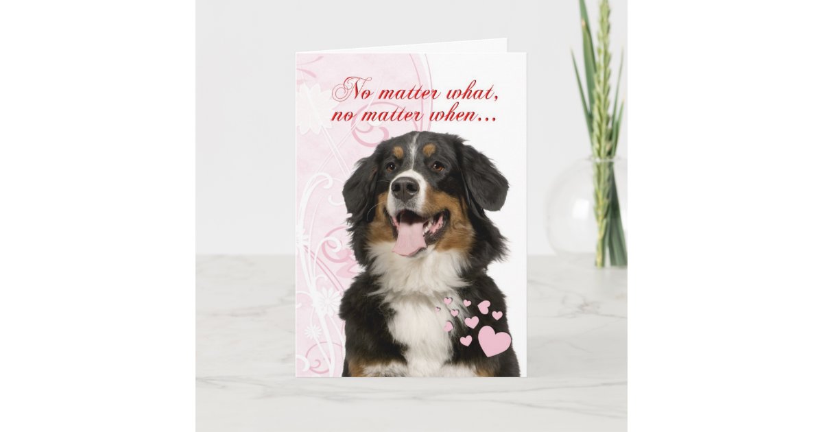 Bernese Mountain Dog Valentine Holiday Card