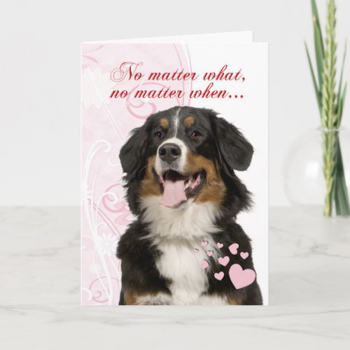 Bernese Mountain Dog Valentine Holiday Card