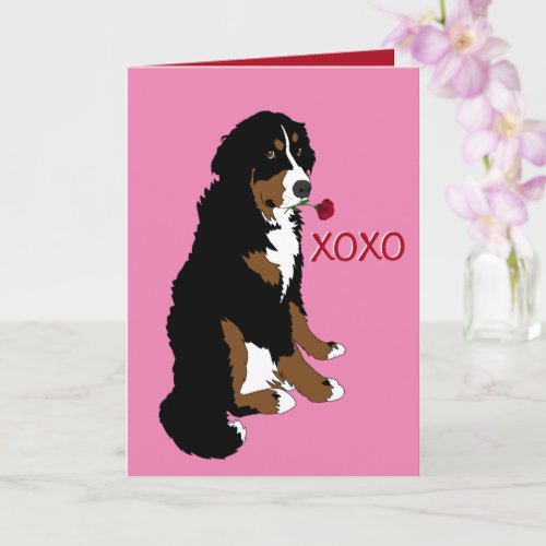 Bernese Mountain Dog Valentines Day  Card