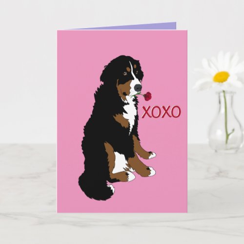 Bernese Mountain Dog Valentines Day Card