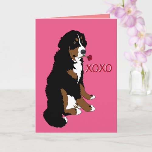 Bernese Mountain Dog Valentines Day Card