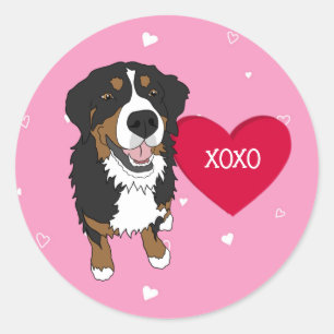 Bernese Mountain Dog Valentines Day Classic Round Sticker