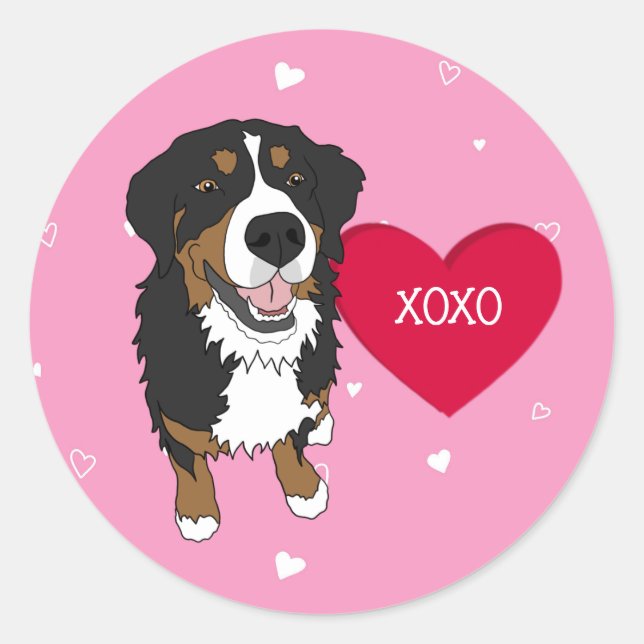 Bernese Mountain Dog Valentines Day Classic Round Sticker (Front)
