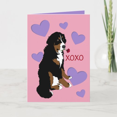 Bernese Mountain Dog Valentines Day Holiday Card