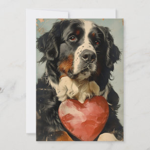 Bernese mountain dog Valentine's day Holiday Card