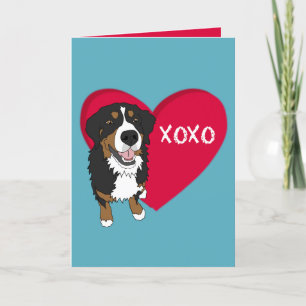 Bernese Mountain Dog Valentines Day  Letterpress Thank You Card