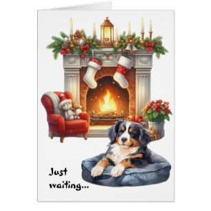 Bernese Mountain Dog Waiting for Christmas Cards