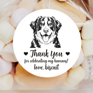 Bernese Mountain Dog Wedding Favor Stickers