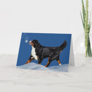 Bernese Mountain Dog Winter Holiday Card