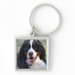 Bernese Mountain Dog with Big Tongue Keychain