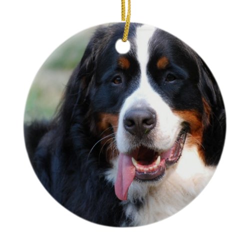 Bernese Mountain Dog with Big Tongue Ornaments
