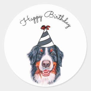 Bernese Mountain Dog with Party Hat Classic Round Sticker
