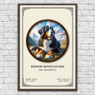 Bernese Mountain Dog Zoology Series Poster