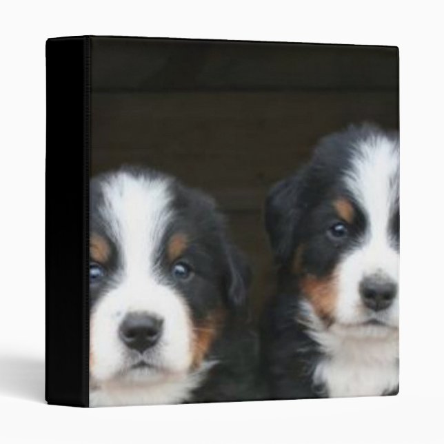 Bernese mountain dogs binder (Front/Spine)