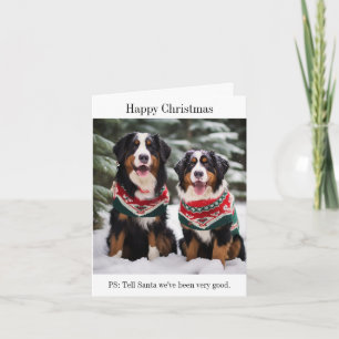 Bernese Mountain Dogs Christmas Card
