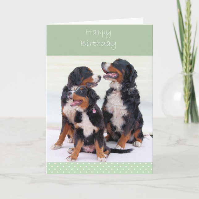 Bernese Mountain Dogs Happy Birthday Greeting Card (Front)