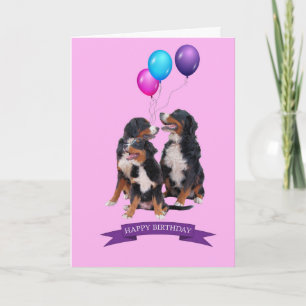 Bernese Mountain Dogs Happy Birthday Greeting Card