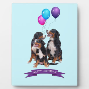 Bernese Mountain Dogs Happy Birthday Plaque