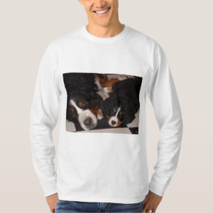 Bernese Mountain Dogs Head to Head Men's T_Shirt T-Shirt