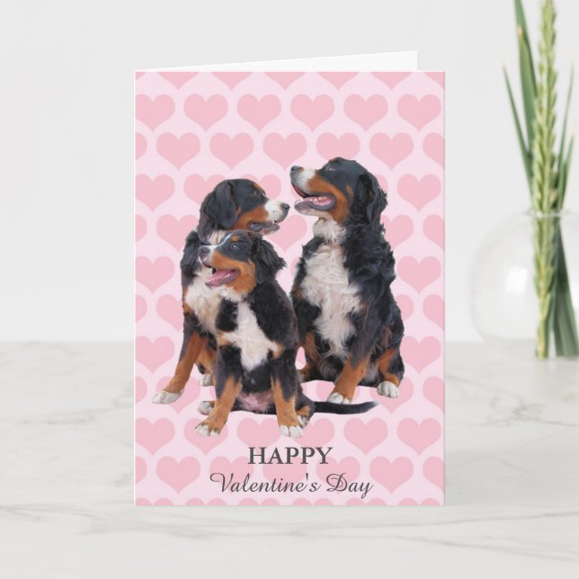 Bernese Mountain Dogs Hearts Valentine's Day Card (Front)