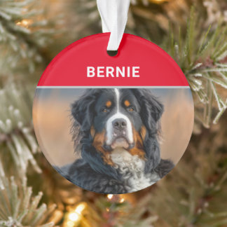 Bernese Mountain Dog's Name and Photo Christmas Ornament
