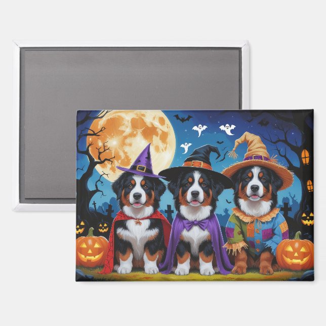 Bernese Mountain Dogs Pumpkin Halloween Funny Magnet (Front/Back)