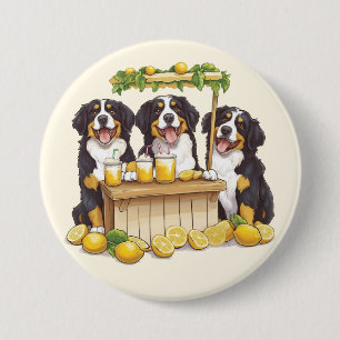 Bernese Mountain Dogs Running A Lemonade Stand Button