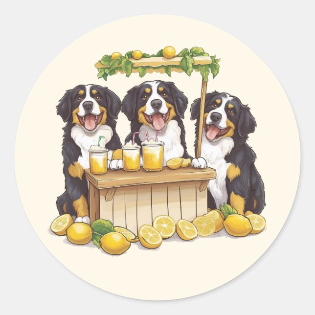Bernese Mountain Dogs Running A Lemonade Stand Classic Round Sticker (Front)