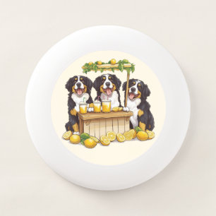 Bernese Mountain Dogs Running A Lemonade Stand Wham-O Frisbee