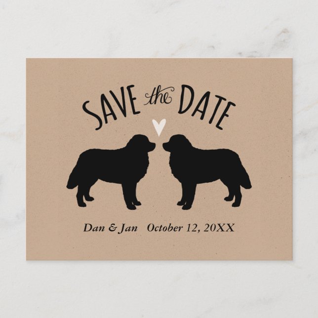 Bernese Mountain Dogs Wedding Save the Date Announcement Postcard (Front)