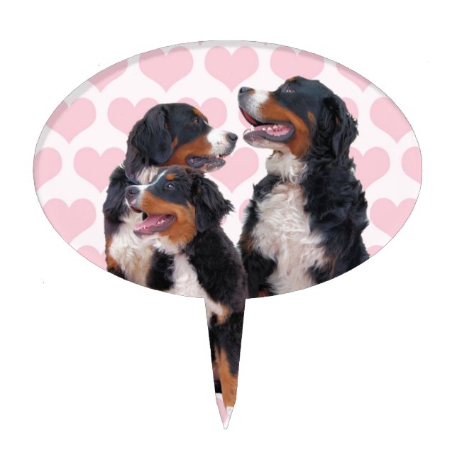 Bernese Mountain Dogs with Pink Hearts Cake Topper (Front)