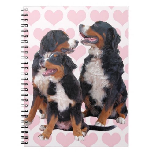 Bernese Mountain Dogs with Pink Hearts Notebook