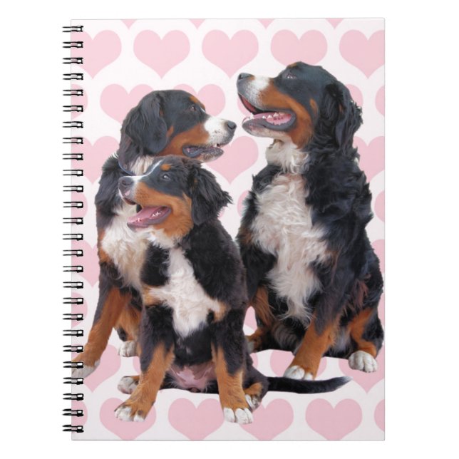 Bernese Mountain Dogs with Pink Hearts Notebook (Front)