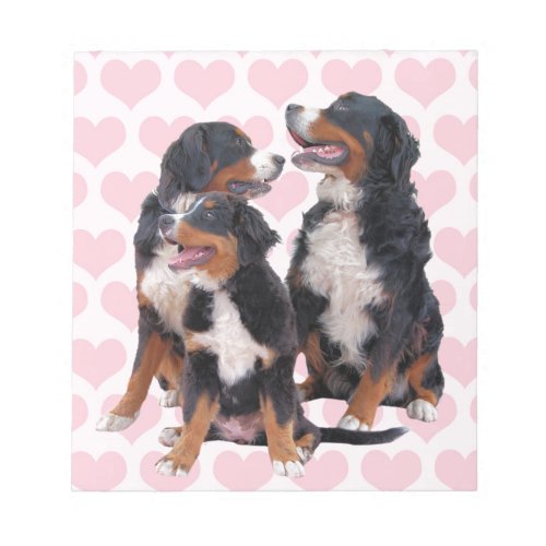 Bernese Mountain Dogs with Pink Hearts Notepad