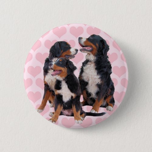 Bernese Mountain Dogs with Pink Hearts Pinback Button