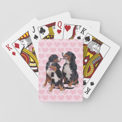 Bernese Mountain Dogs with Pink Hearts Poker Cards