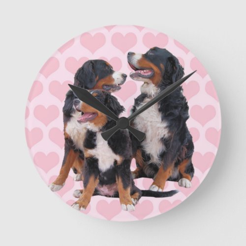 Bernese Mountain Dogs with Pink Hearts Round Clock