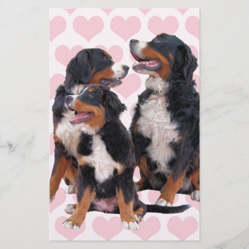 Bernese Mountain Dogs with Pink Hearts Stationery