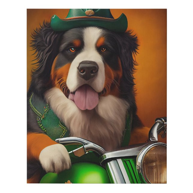 Bernese Mountain Driving Bike St. Patrick's Day Faux Canvas Print (Front)