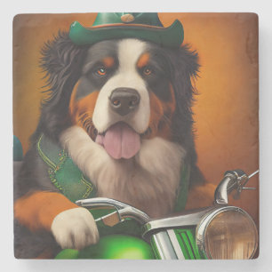 Bernese Mountain Driving Bike St. Patrick's Day Stone Coaster