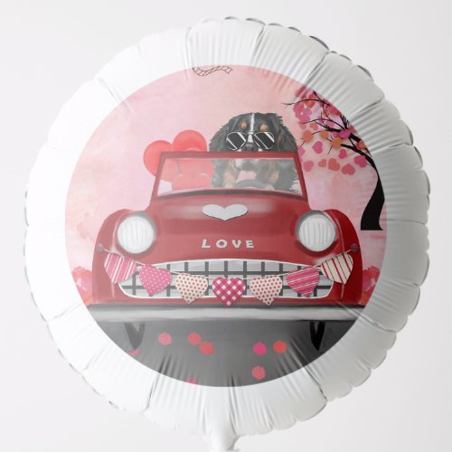 Bernese Mountain Driving Car with Hearts Valentine Balloon