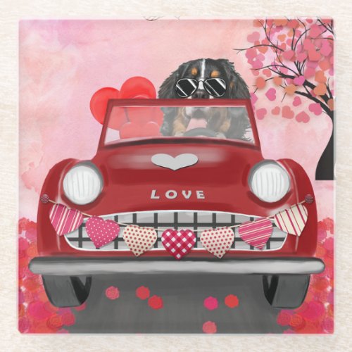 Bernese Mountain Driving Car with Hearts Valentine Glass Coaster