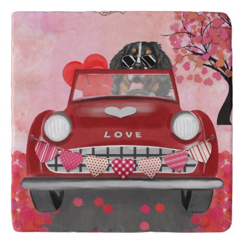 Bernese Mountain Driving Car with Hearts Valentine Trivet