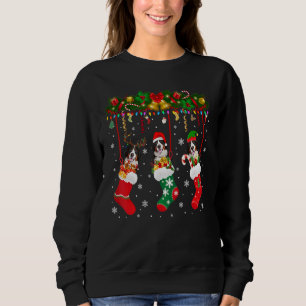 Bernese Mountain In Sock Xmas Reindeer Santa Elf D Sweatshirt