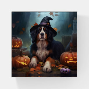 Bernese Mountain Pumpkins Halloween Scary Paperweight