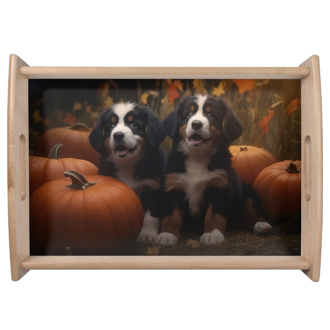 Bernese Mountain Puppy Autumn Delight Pumpkin Serving Tray (Front)